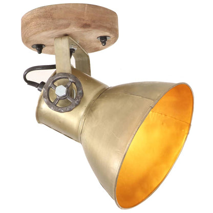 320509 vidaXL Industrial Wall/Ceiling Lamps 2 pcs Brass 20x25 cm E27