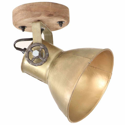 320509 vidaXL Industrial Wall/Ceiling Lamps 2 pcs Brass 20x25 cm E27