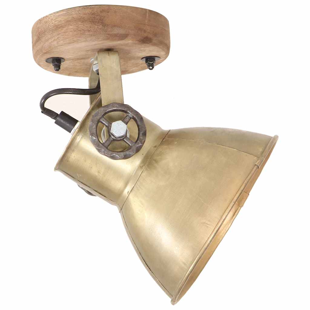 320509 vidaXL Industrial Wall/Ceiling Lamps 2 pcs Brass 20x25 cm E27