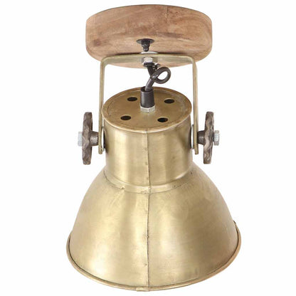 320509 vidaXL Industrial Wall/Ceiling Lamps 2 pcs Brass 20x25 cm E27