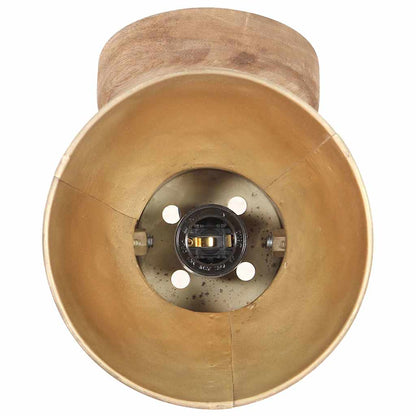 320509 vidaXL Industrial Wall/Ceiling Lamps 2 pcs Brass 20x25 cm E27