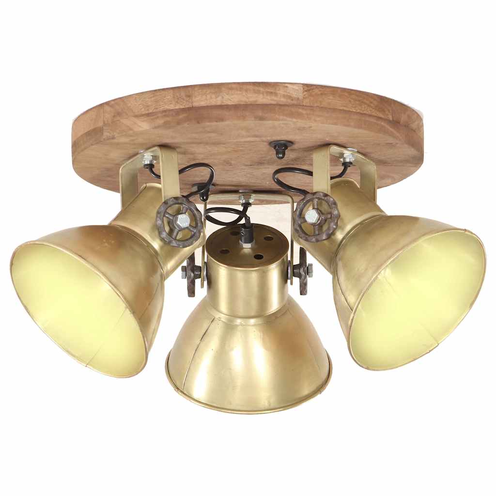 320510 vidaXL Industrial Ceiling Lamp 25 W Brass 42x27cm E27