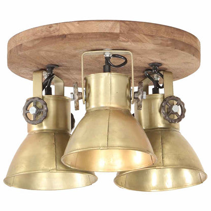 320510 vidaXL Industrial Ceiling Lamp 25 W Brass 42x27cm E27