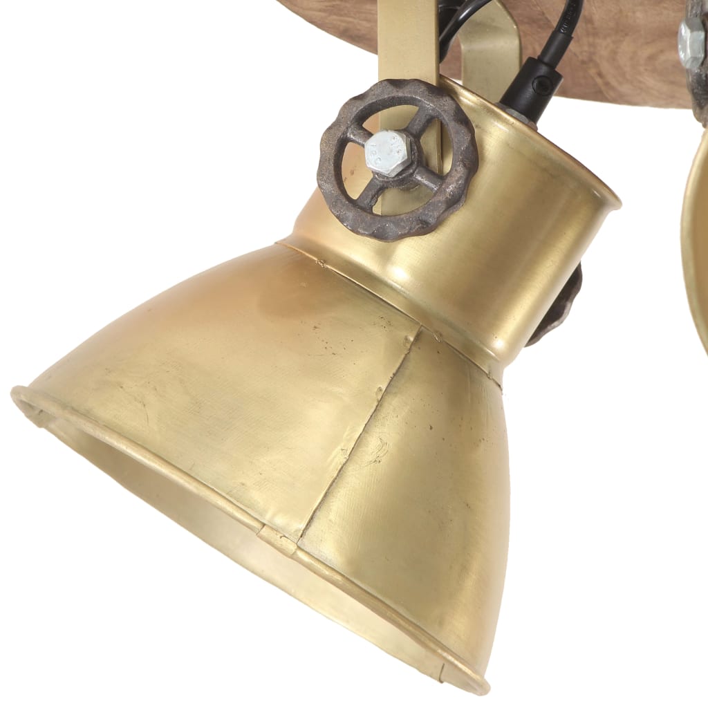 vidaXL Industrial Ceiling Lamp 25 W Brass 42x27cm E27