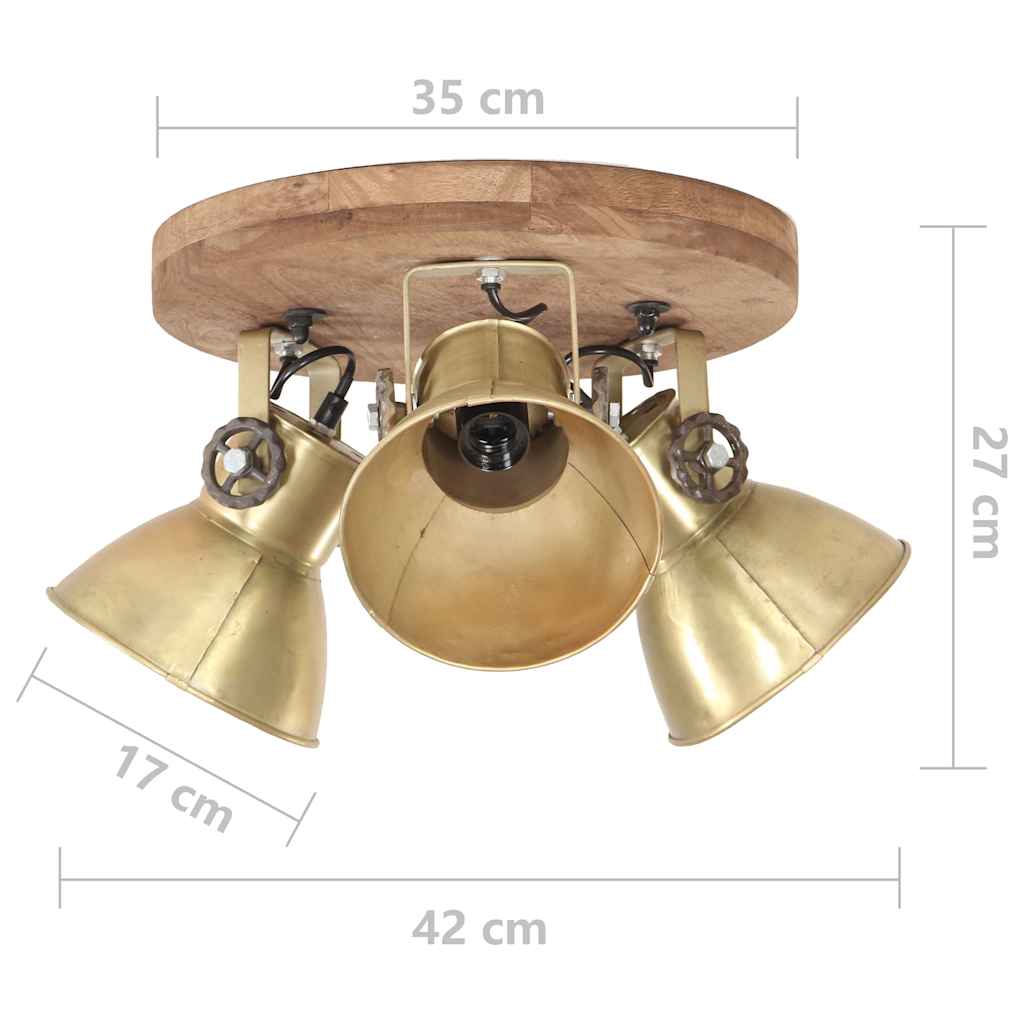 320510 vidaXL Industrial Ceiling Lamp 25 W Brass 42x27cm E27