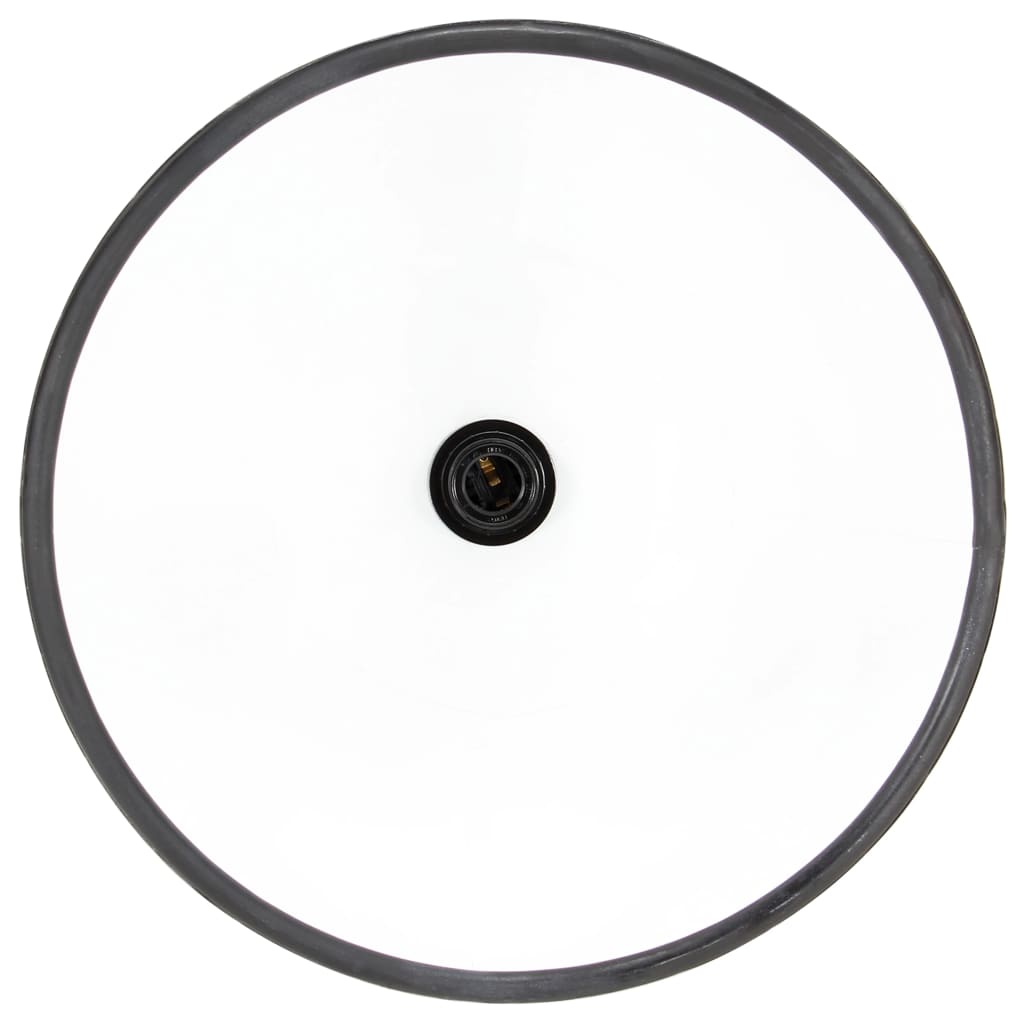 vidaXL Industrial Hanging Lamp 25 W Black Round 30 cm E27