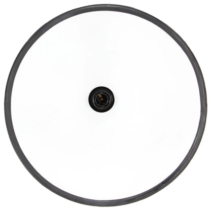 vidaXL Industrial Hanging Lamp 25 W Black Round 30 cm E27