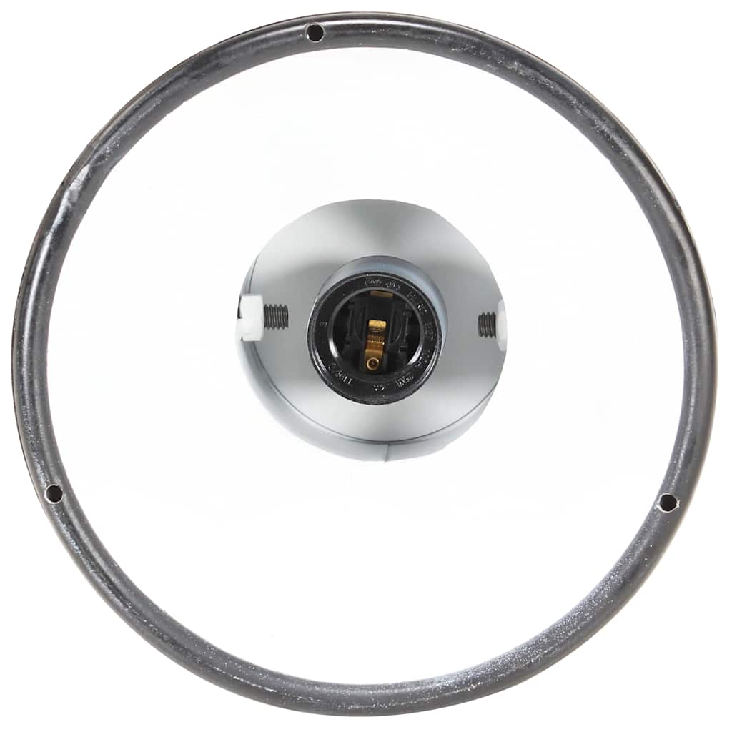 vidaXL Hanging Lamp | Black | Iron | 19 cm diameter | Hanging Lamp | Round