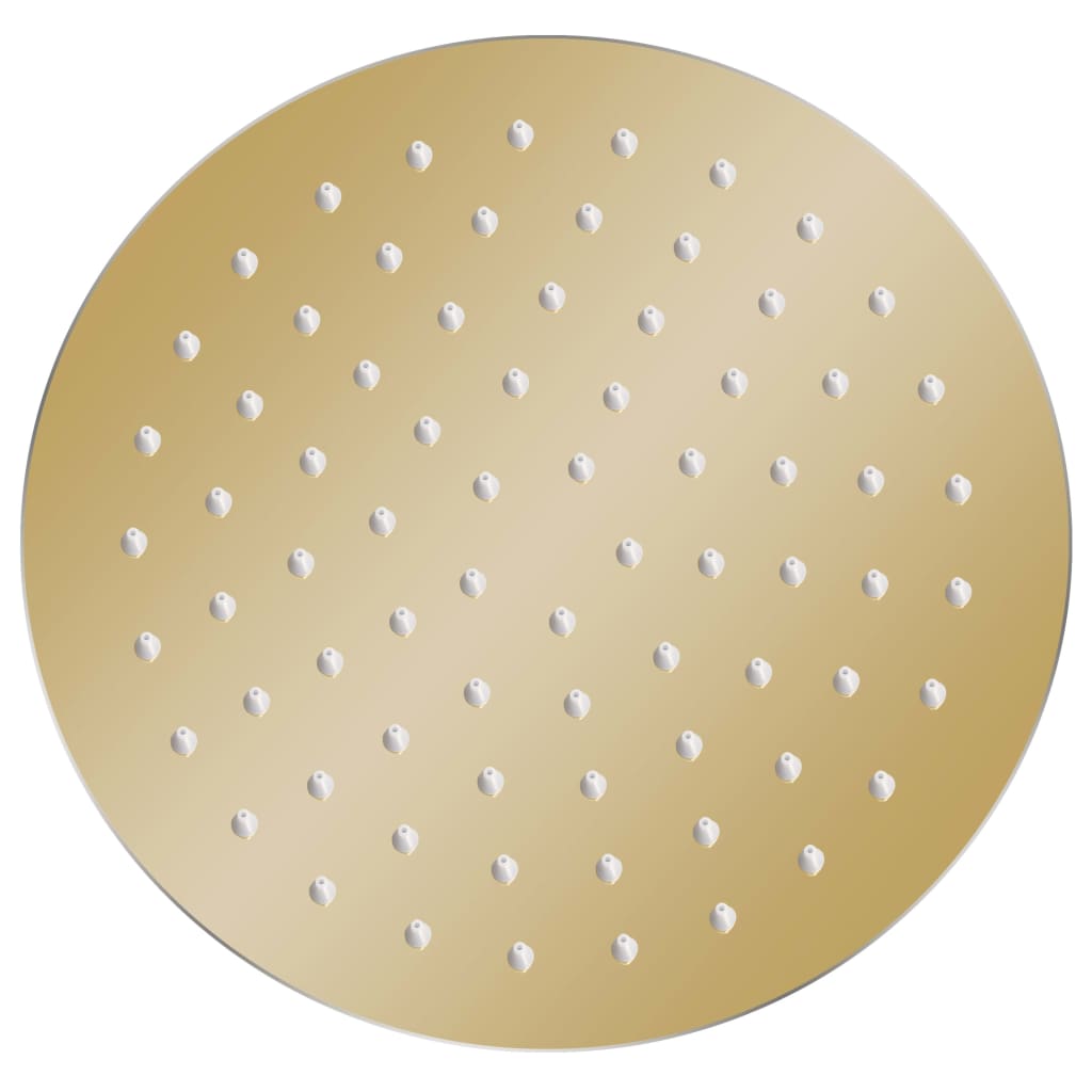 vidaXL Rain Shower Head Stainless Steel 20 cm Round Gold