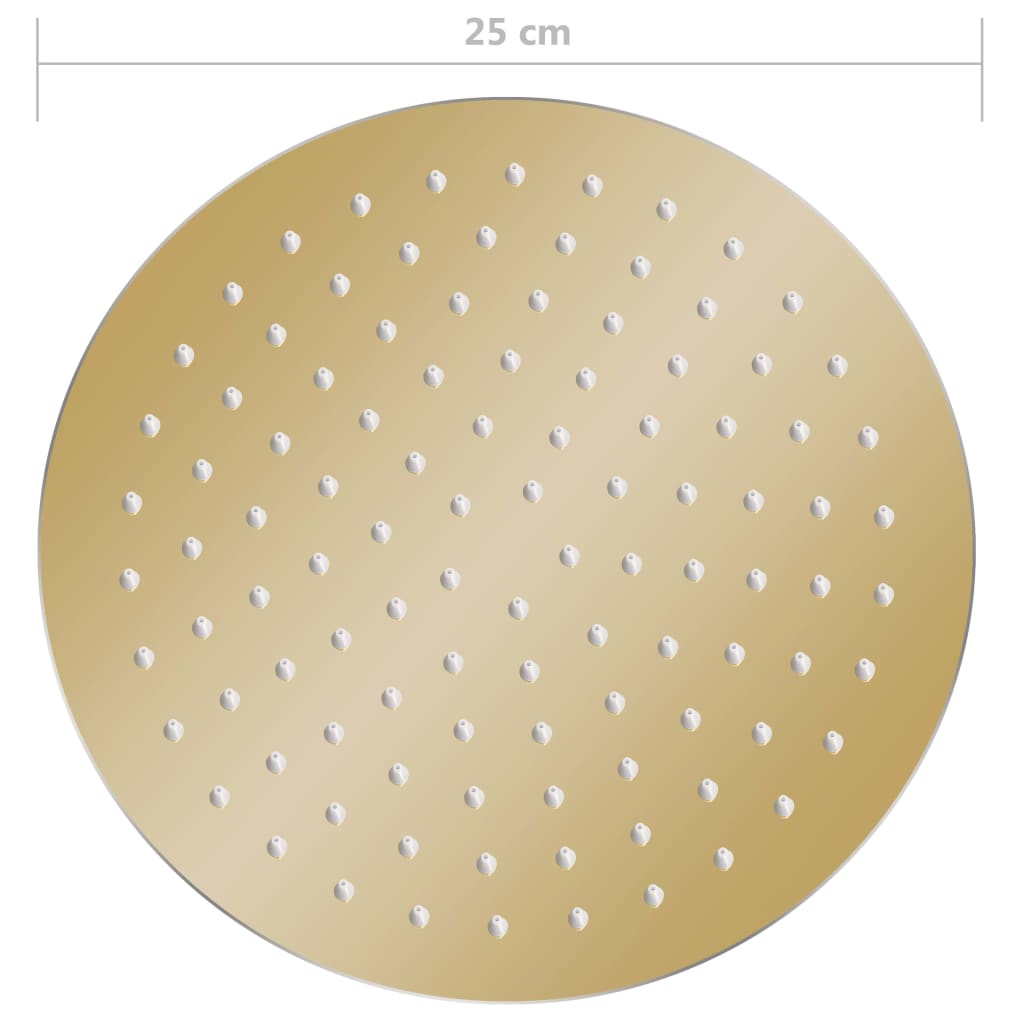 147704 vidaXL Rain Shower Head Stainless Steel 25 cm Round Gold