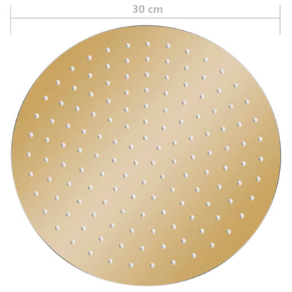 147705 vidaXL Rain Shower Head Stainless Steel 30 cm Round Gold