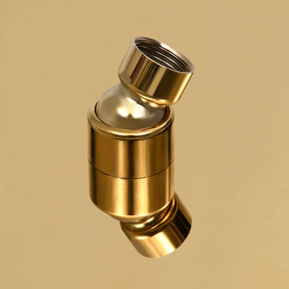 147707 vidaXL Rain Shower Head Stainless Steel 50 cm Round Gold