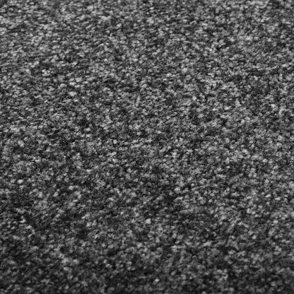 323420 vidaXL Doormat Washable Anthracite 120x180 cm