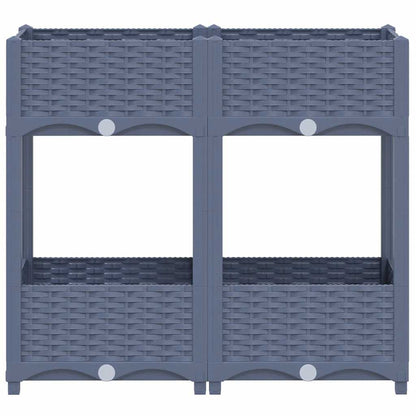 vidaXL Raised Bed 80x40x71 cm Polypropylene