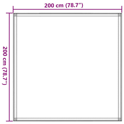 310676 vidaXL Tent Carpet 200x200 cm Anthracite