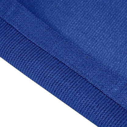 vidaXL Tent Carpet 300x500 cm Blue HDPE