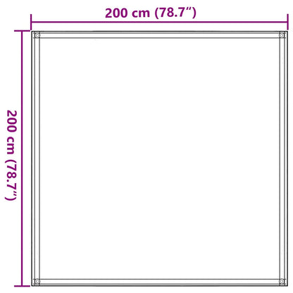 vidaXL Tent Carpet 200x200 cm Black