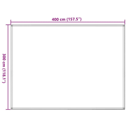 vidaXL Tent Carpet 300x400 cm Anthracite and White