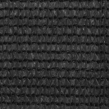 310845 vidaXL Balcony Screen Anthracite 120x400 cm HDPE