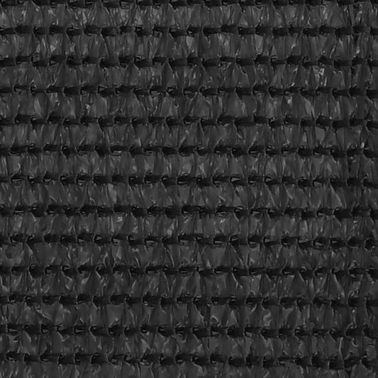 vidaXL Balcony Screen Anthracite 120x400 cm HDPE