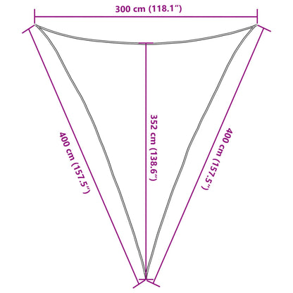 vidaXL Sunshade Sail 160 g/m² Anthracite 3x4x4 m HDPE