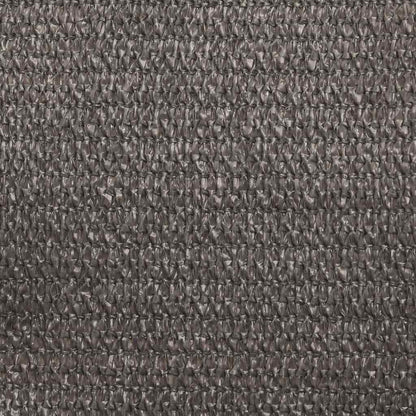 311103 vidaXL Sunshade Sail 160 g/m² Anthracite 3/4x2 m HDPE