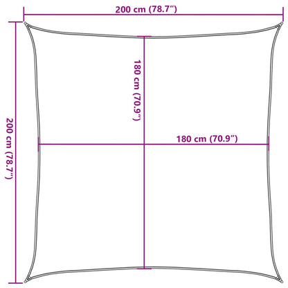 vidaXL Sunshade Sail 160 g/m² Light Green 2x2 m HDPE
