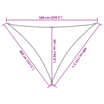 vidaXL Sunshade Sail 160 g/m² Light Green 4x4x5.8 m HDPE