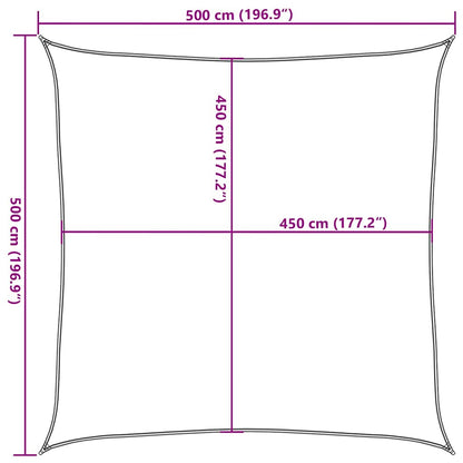 vidaXL Sunshade Sail 160 g/m² Black 5x5 m HDPE
