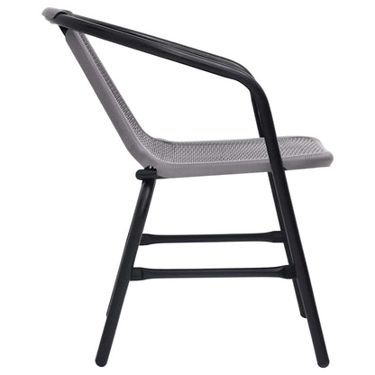 vidaXL Garden Chair | Set of 2 | Black | Plastic Rattan, Steel | Standard
