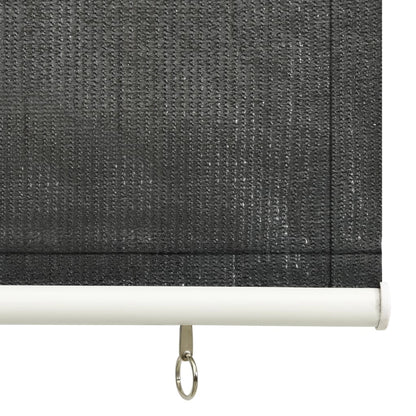 vidaXL Outdoor Roller Blind 65(W)x140(H) cm Anthracite