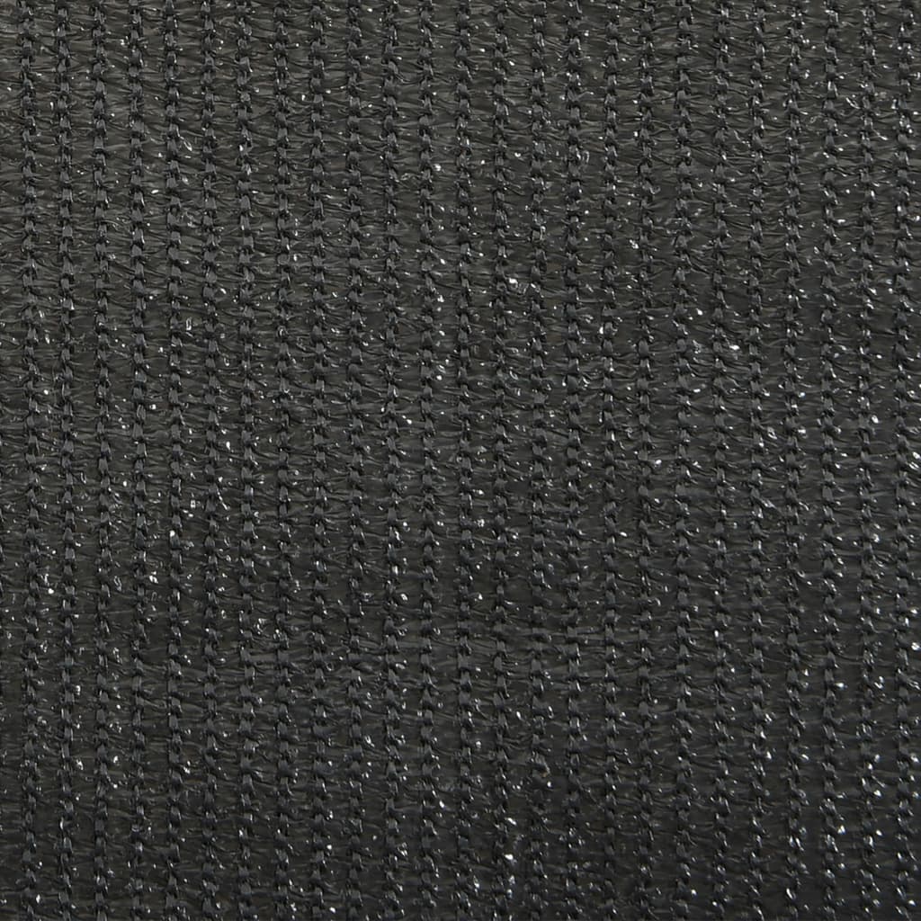 vidaXL Outdoor Roller Blind 65(W)x140(H) cm Anthracite