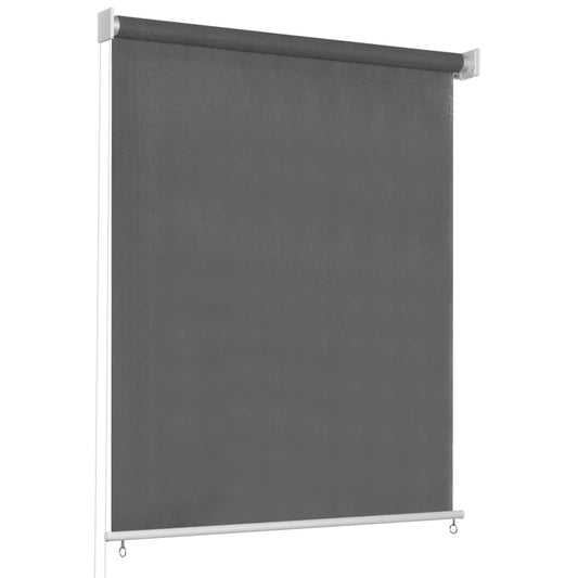 vidaXL Outdoor Roller Blind 65(W)x230(H) cm Anthracite