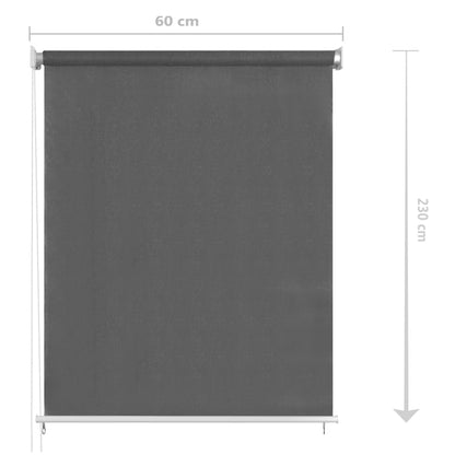 vidaXL Outdoor Roller Blind 65(W)x230(H) cm Anthracite