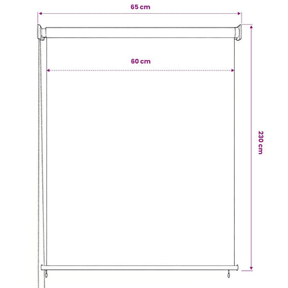 vidaXL Outdoor Roller Blind 65(W)x230(H) cm Anthracite
