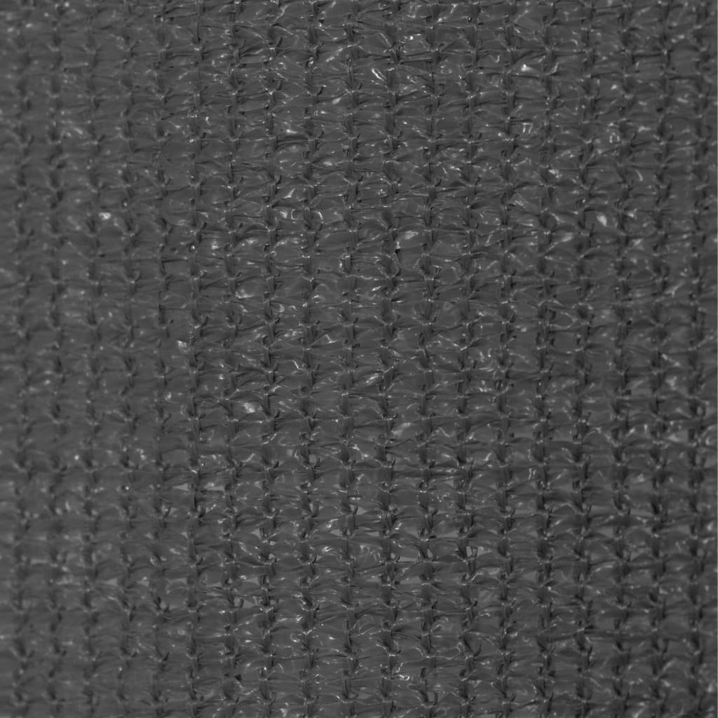 vidaXL Outdoor Roller Blind 85(W)x230(H) cm Anthracite