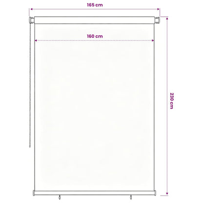 vidaXL Outdoor Roller Blind 165(W)x230(H) cm Blue HDPE