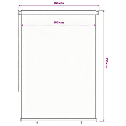 vidaXL Outdoor Roller Blind 165(W)x230(H) cm Blue HDPE