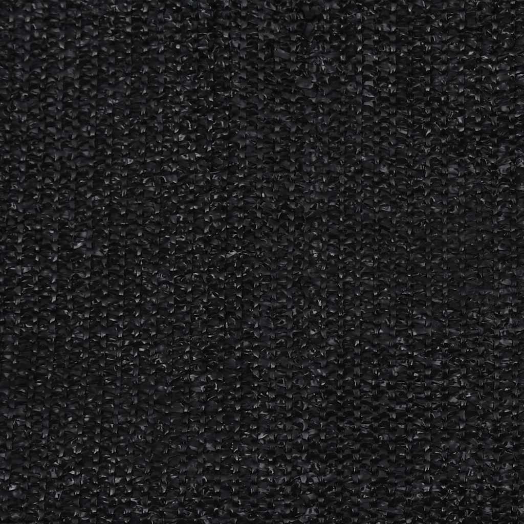 vidaXL Outdoor Roller Blind 225(W)x140(H) cm Black