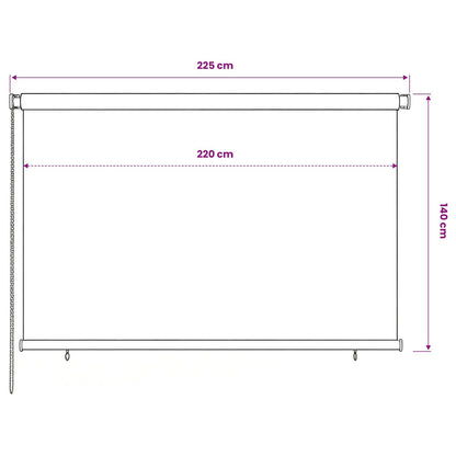 vidaXL Outdoor Roller Blind 225(W)x140(H) cm Black