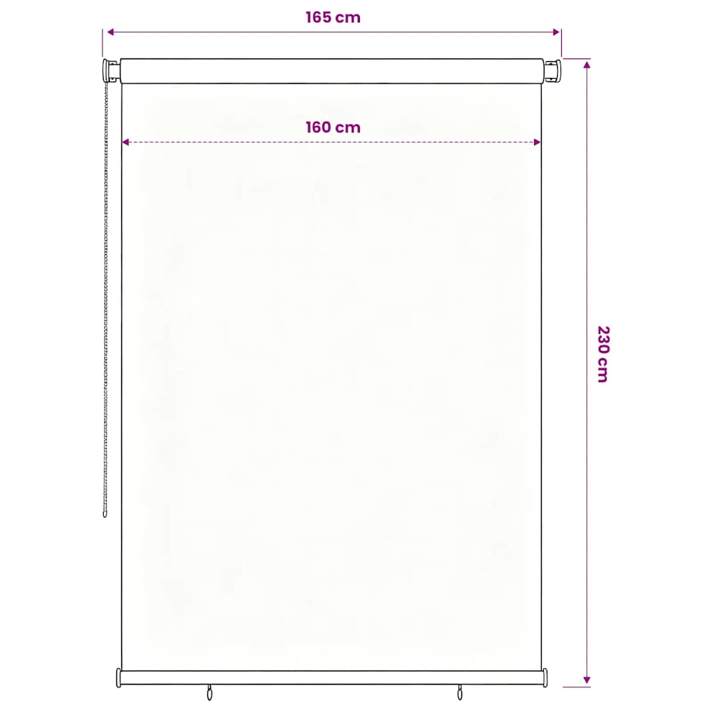 vidaXL Outdoor Roller Blind 165(W)x230(H) cm Black