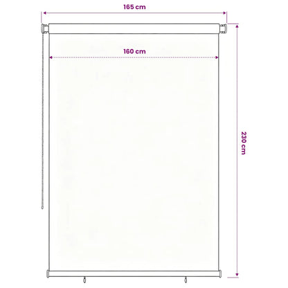 vidaXL Outdoor Roller Blind 165(W)x230(H) cm Black