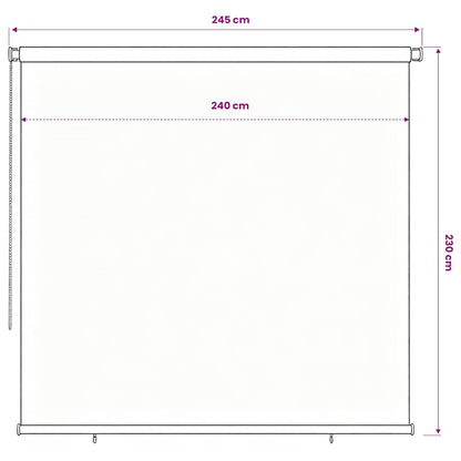 vidaXL Outdoor Roller Blind 185(W)x230(H) cm Black