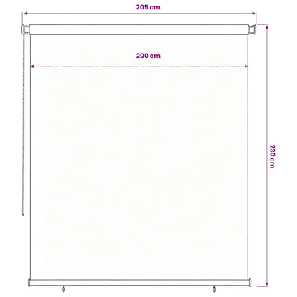vidaXL Outdoor Roller Blind 225(W)x230(H) cm Black
