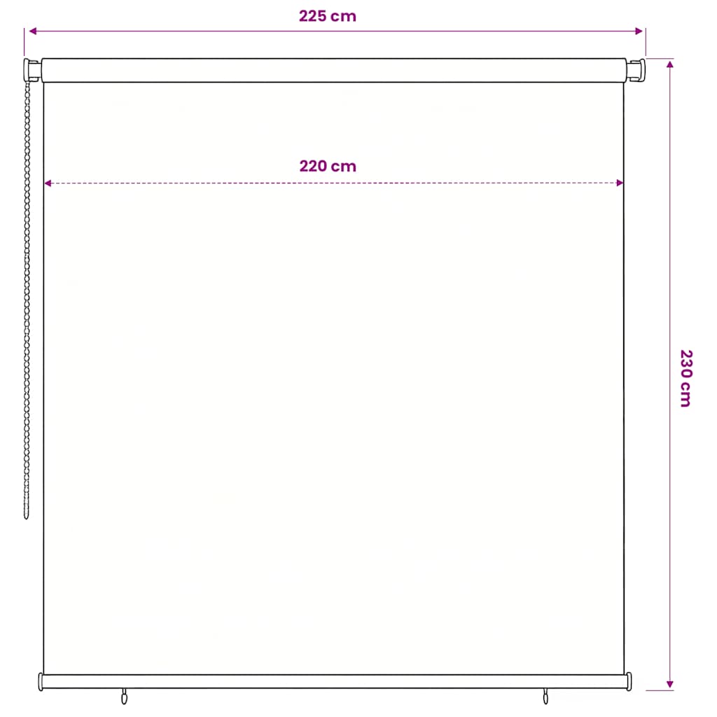 vidaXL Outdoor Roller Blind 245(W)x230(H) cm Black