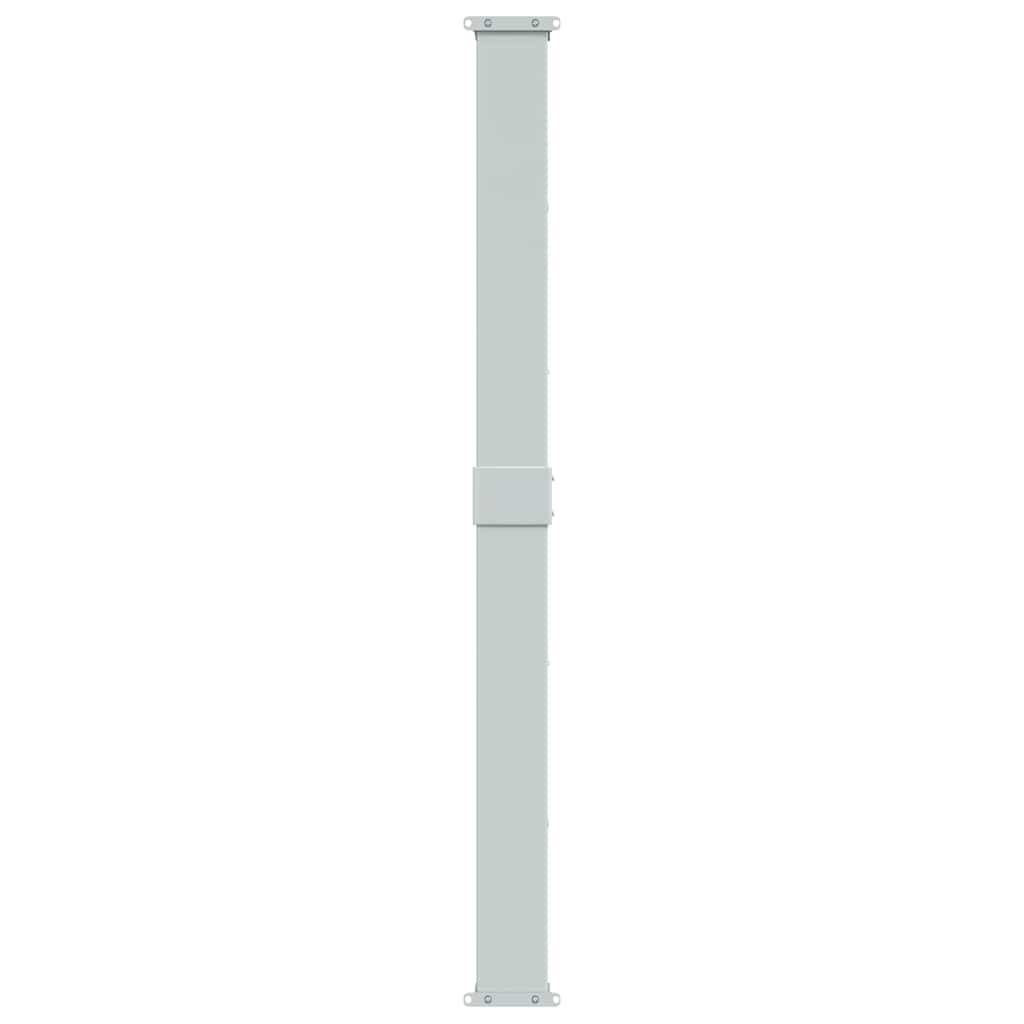 313395 vidaXL Patio Retractable Side Awning 170x1200 cm Anthracite