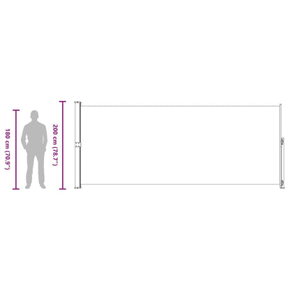 vidaXL Patio Retractable Side Awning 200x514 cm Grey
