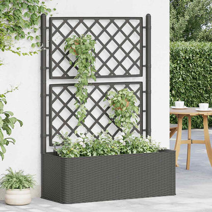 vidaXL Garden Raised Bed with Trellis and Self Watering System Anthracite