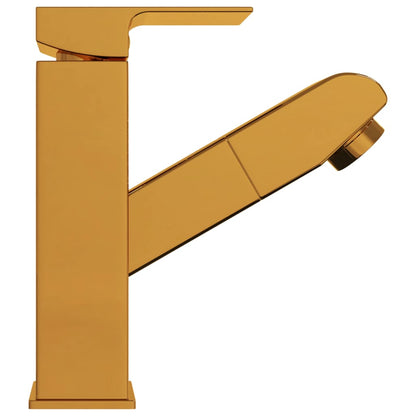 vidaXL Bathroom Basin Faucet with Pull-out Function Gold 157x172 mm