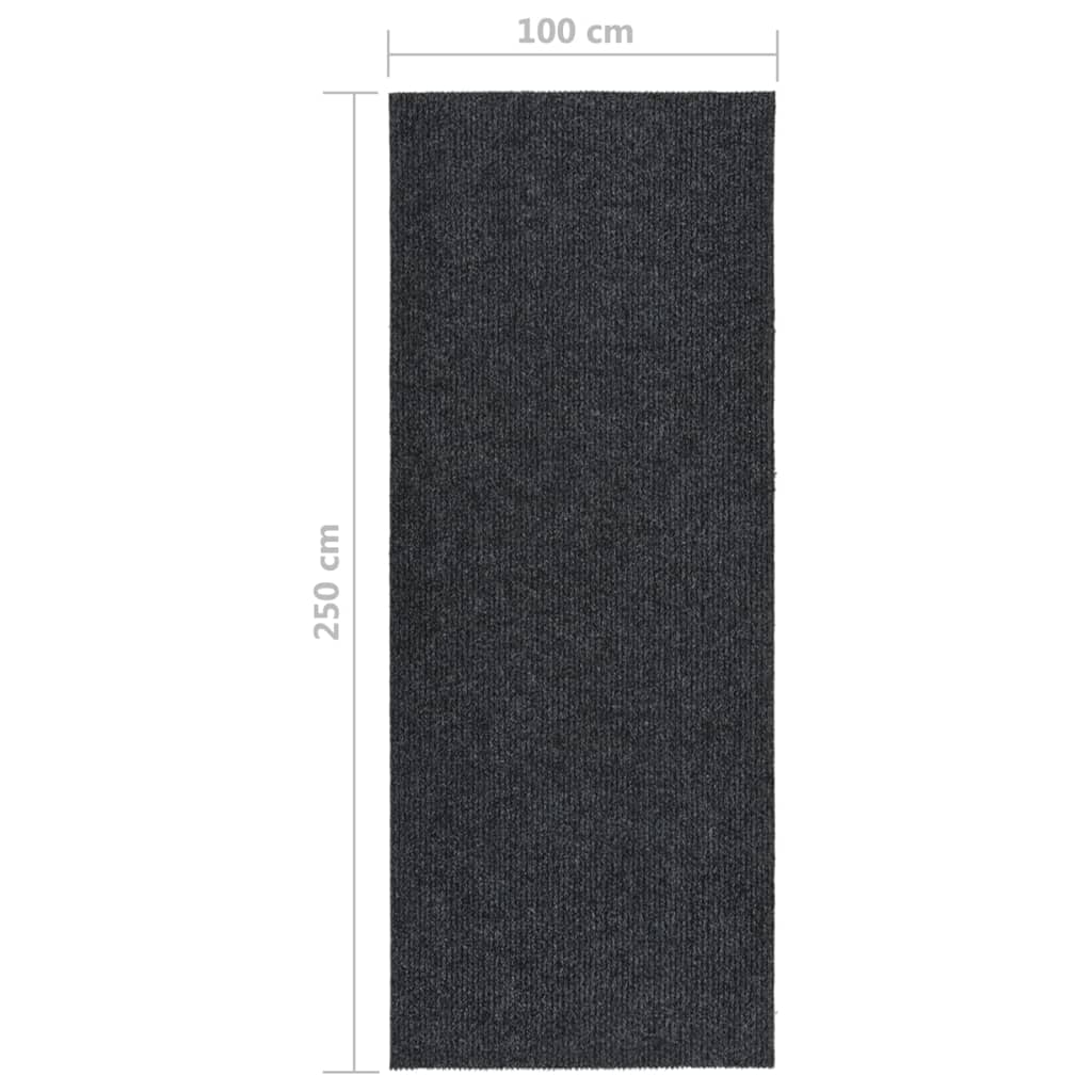 vidaXL Dirt Trapper Carpet Runner 100x250 cm Anthracite